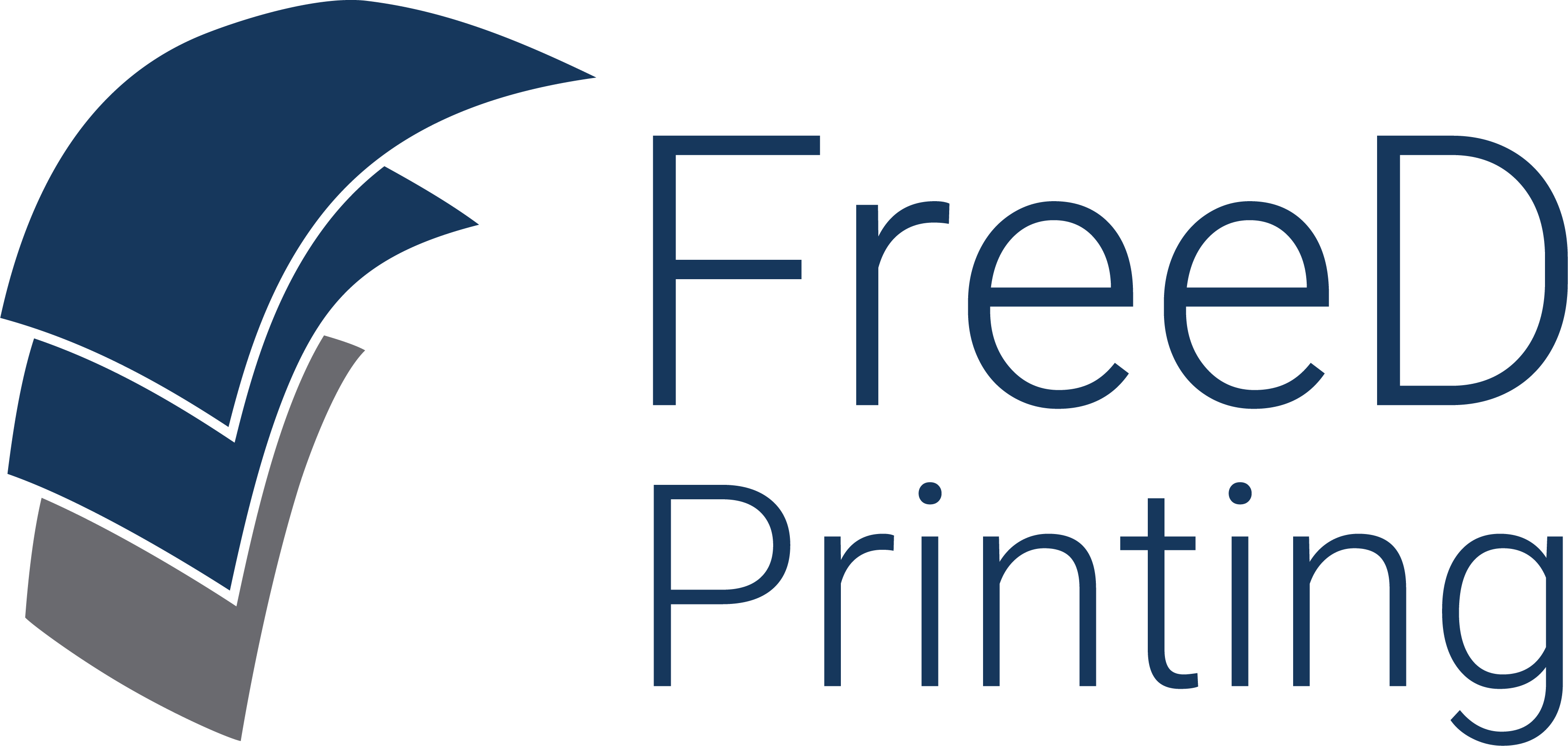 FreeD Printing